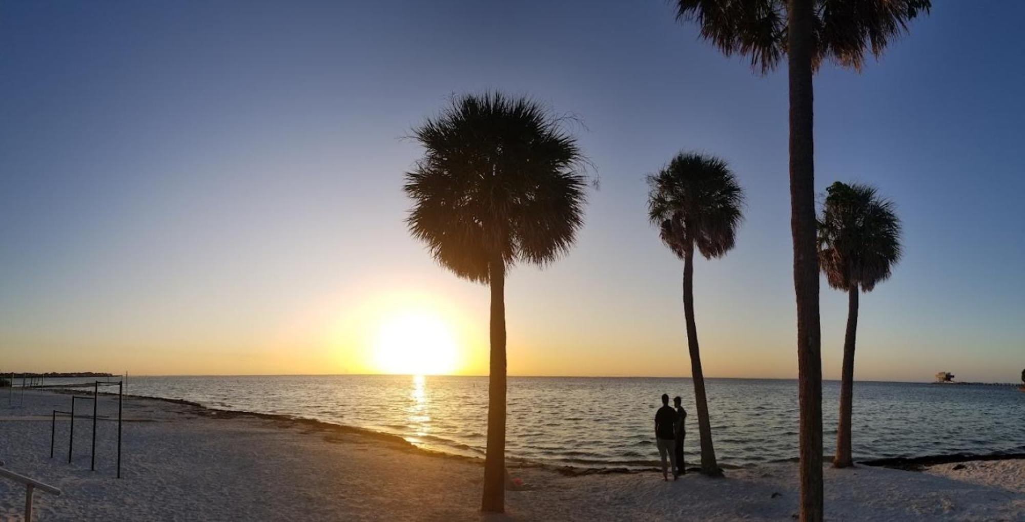 Elegant Studio Apartment In Downtown St Pete - Great Community Events! Сейнт Питърсбърг Екстериор снимка